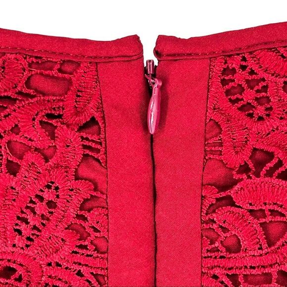 Shani Collection Women's Plus Fit and Flare Popover Lace Dress - 14 - Picture 6 of 7